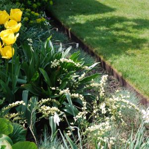 EverEdge Lawn Edging