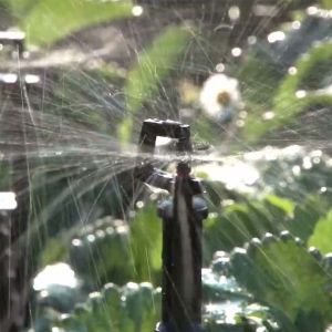 Rotor Spray™ Sprinkler Kit