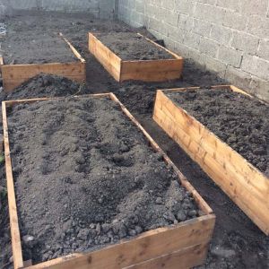 Timber Raised Beds