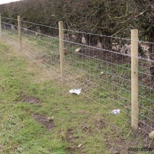 Wooden Tree Stakes