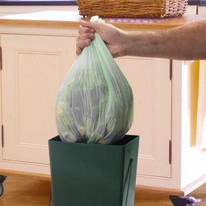 Biodegradable Bags