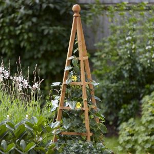 Garden Obelisk