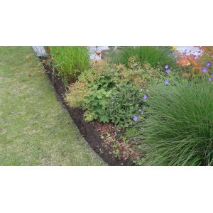 Lawn Edging