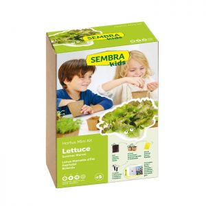 Lettuce Growing Kit