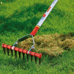 Moss Removal Rake