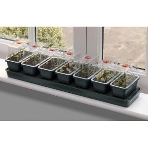 Self Watering Propagator