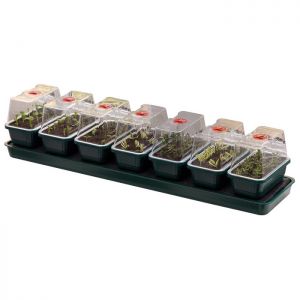 Self Watering Propagator