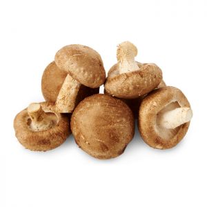 Mushroom Growing Kit