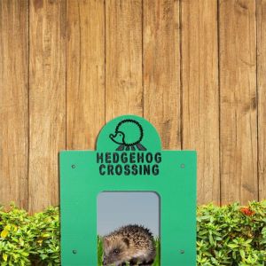 Hedgehog Crossing