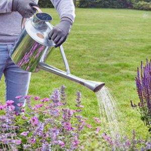 Long Reach Watering Can