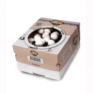 Mushroom Growing Kit