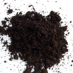 Peat Moss