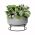 Indoor Plant Pot