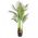 Artificial Palm Tree