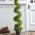 Artificial Spiral Tree