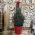 Real Christmas Tree