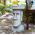 Easter Island Head Planter