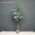 Artificial Christmas Foliage