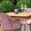 Outdoor Dining Set