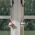 Hanging Christmas Figurine