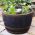 Barrel Plant Pot