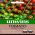 Cherry Tomato Seeds