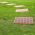 Garden / Lawn Tiles