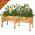 VegTrug