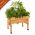 VegTrug
