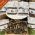 Bourbon Firewood