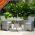 Wicker Garden Furniture Set