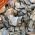 Bronze Slate Chippings