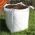 Bark Mulch