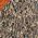 Decorative Chippings
