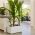Long Garden Planter