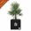 Square outdoor planter