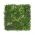 Artificial Green Wall Hedge Panel (100 x 100cm)