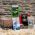 Tea Pot Bird Nest Kit