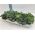 Ornamental brassica