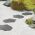 Walkway stepping stone