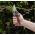 Secateurs