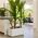 Long Garden Planter