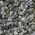 Limestone Decorative Chippings