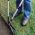 Edging Shears