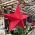 Christmas Star Decorations