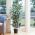 Artificial Ficus Tree