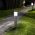 Solar Bollard Lights