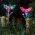Decorative Garden Border Stake