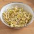 Sprouting Fenugreek Seeds