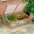 Cold Frame